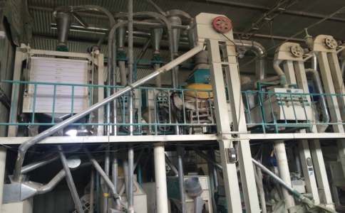 玉米糝加工機(jī)器